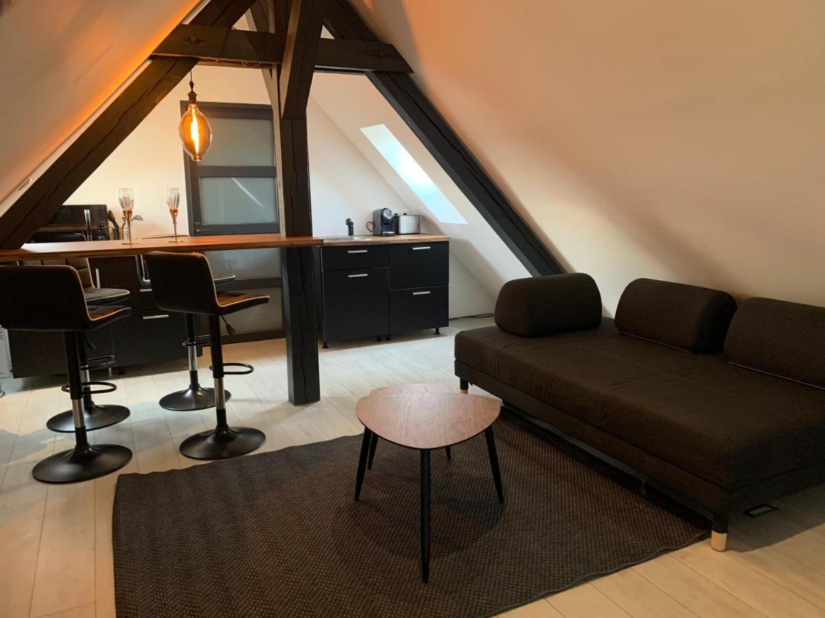 Cocoon Loft Leilighet Colmar Eksteriør bilde