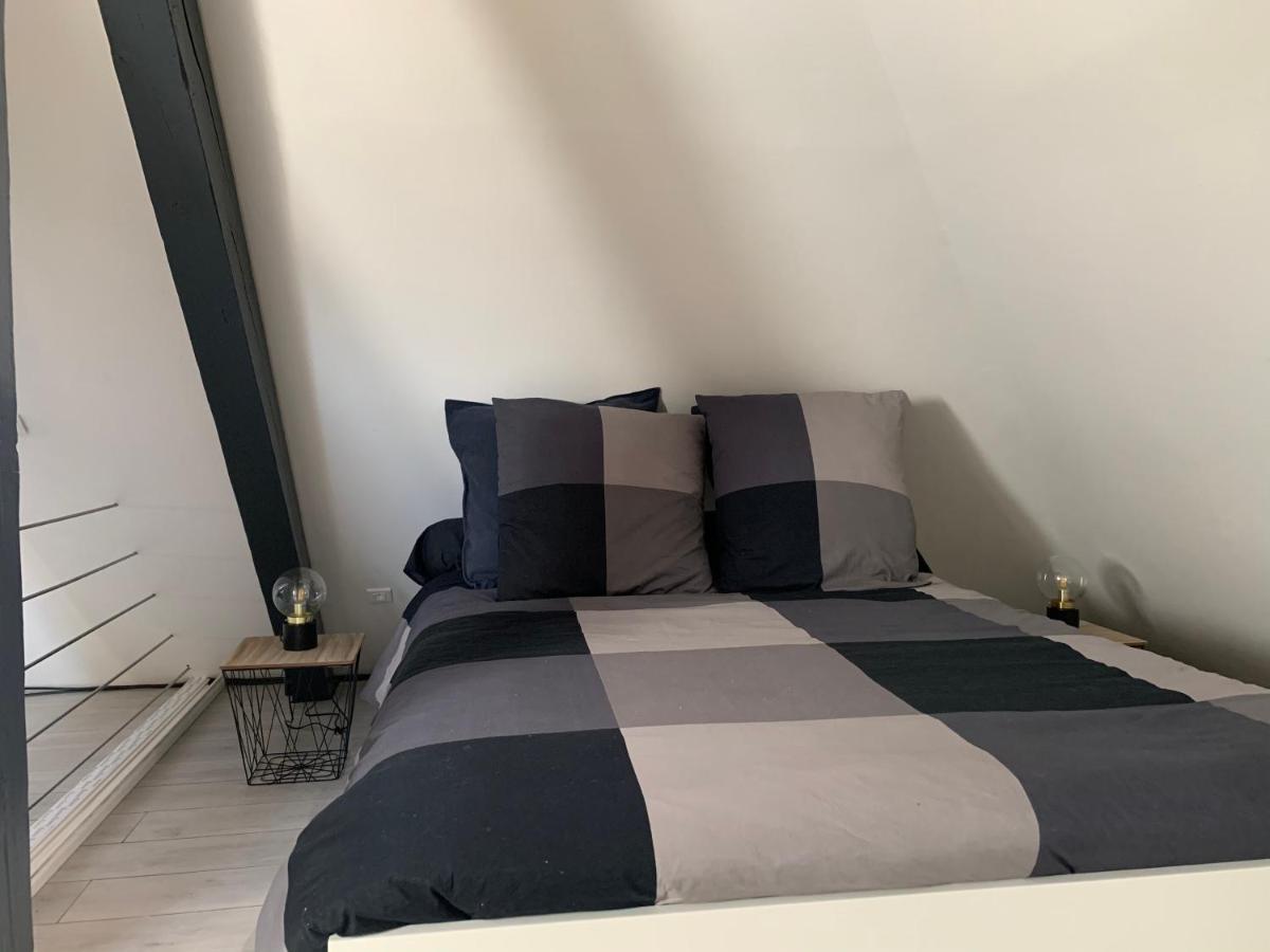 Cocoon Loft Leilighet Colmar Eksteriør bilde