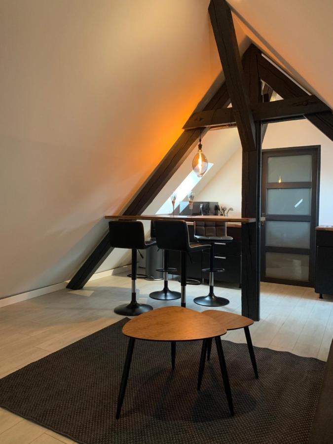 Cocoon Loft Leilighet Colmar Eksteriør bilde
