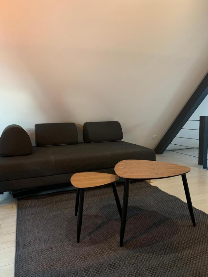 Cocoon Loft Leilighet Colmar Eksteriør bilde
