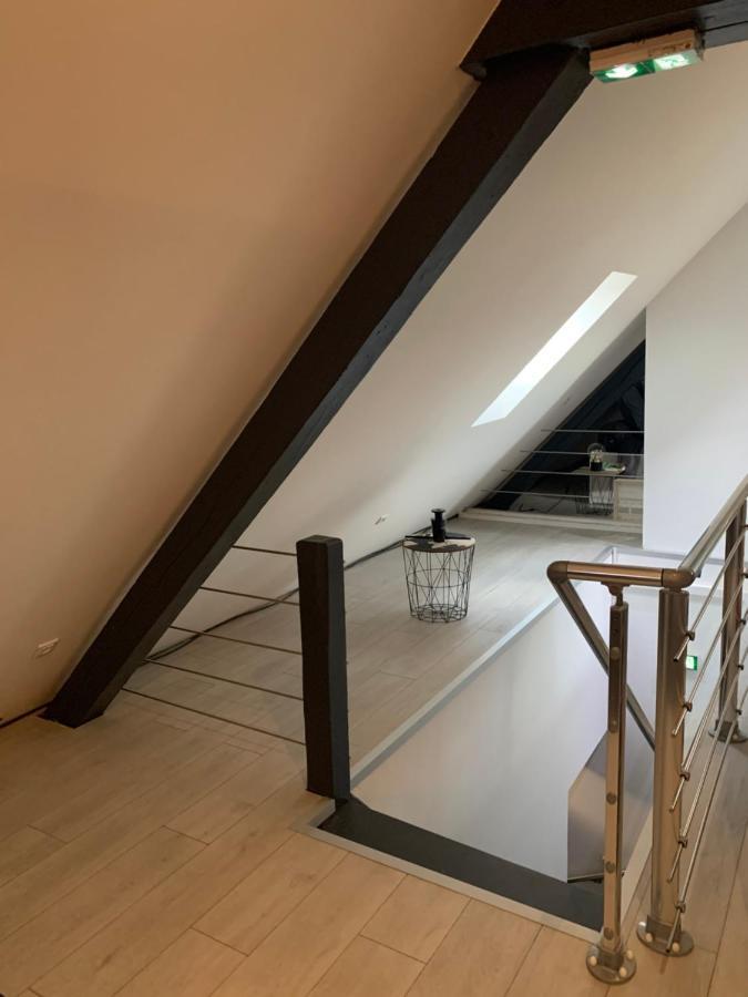 Cocoon Loft Leilighet Colmar Eksteriør bilde