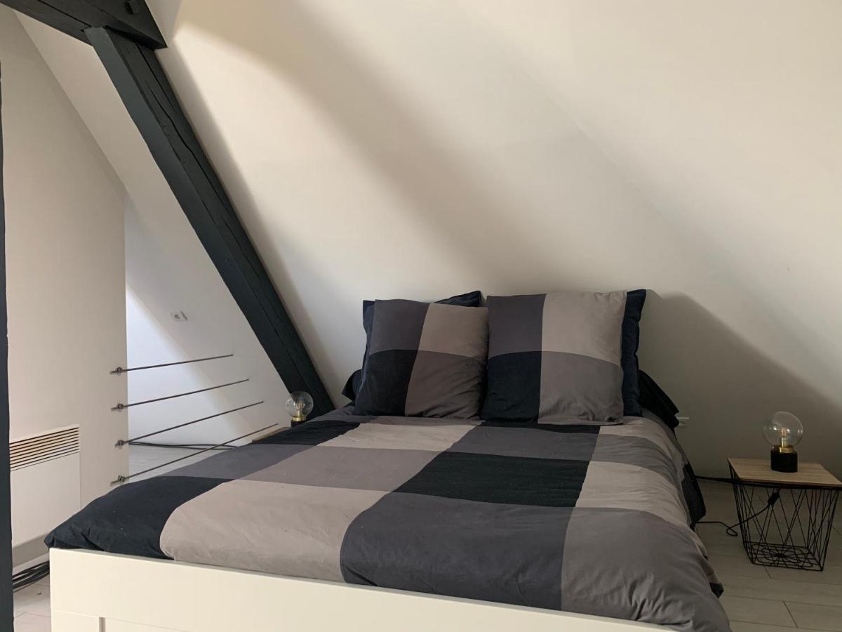 Cocoon Loft Leilighet Colmar Eksteriør bilde